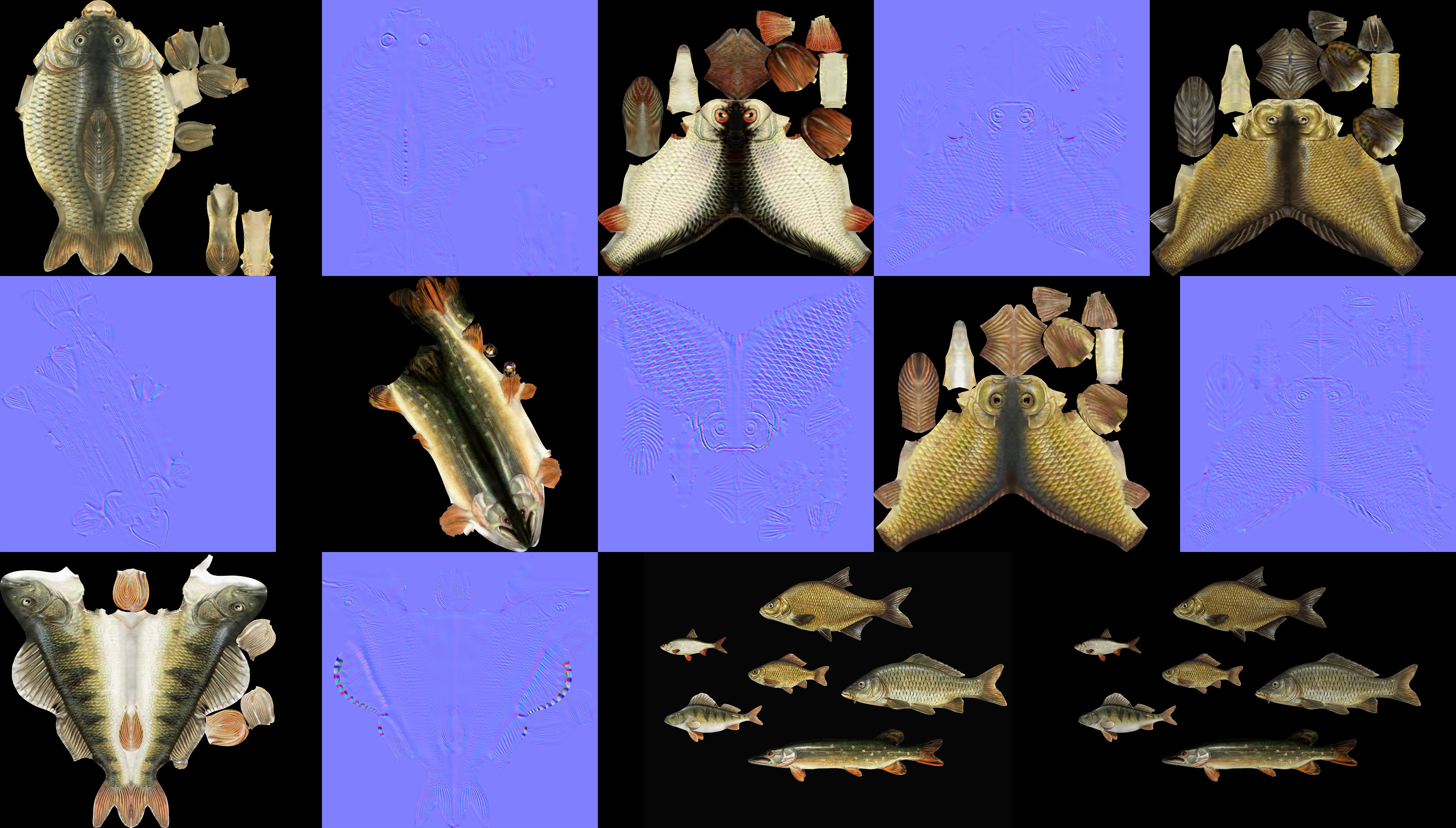 River fish collection Low-poly 3D model_11
