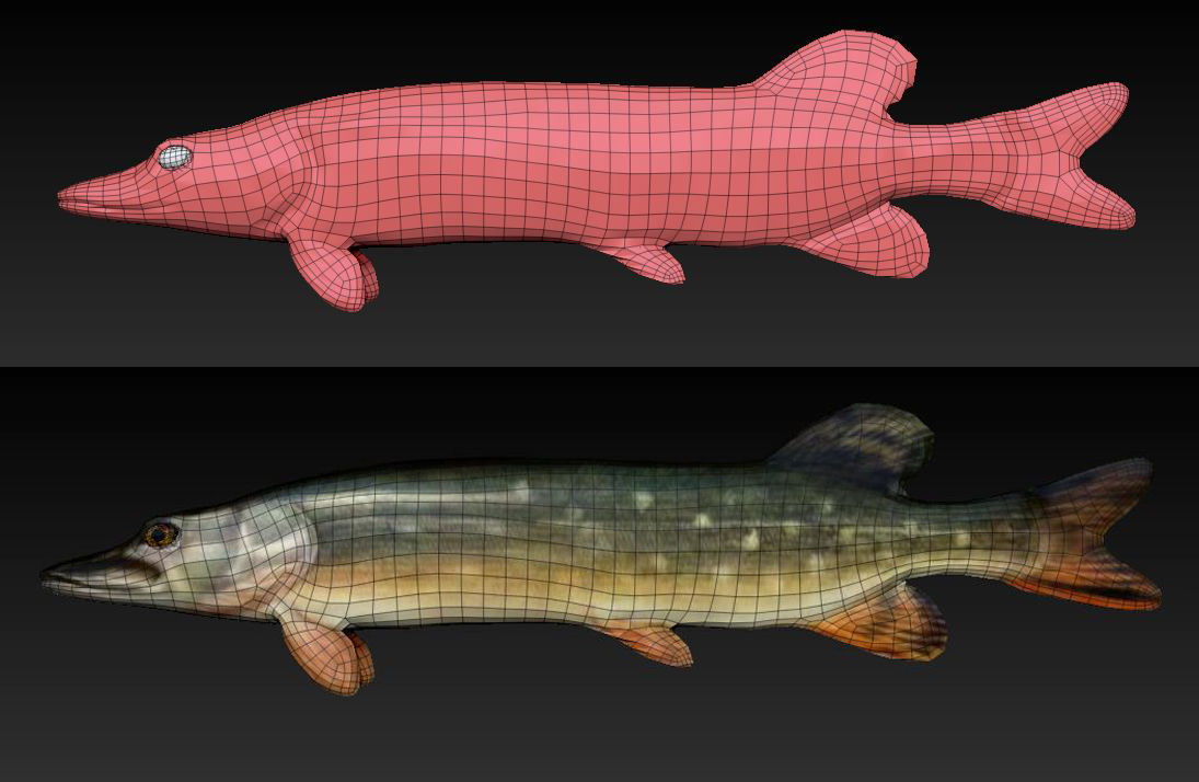 River fish collection Low-poly 3D model_8