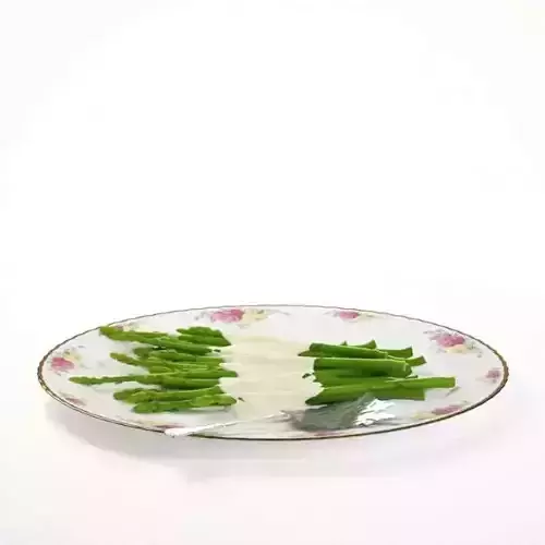 Porcelain Food Eating Plate