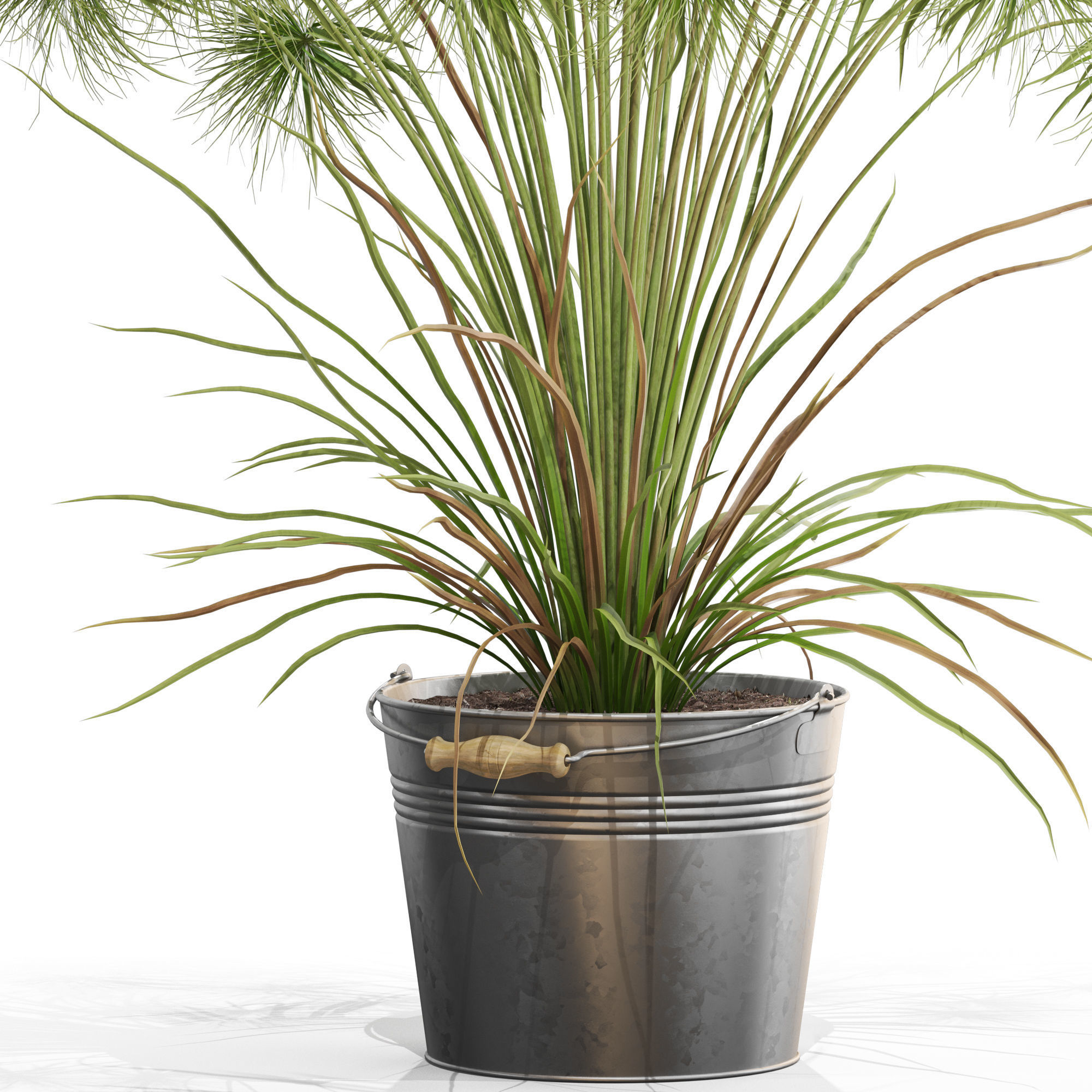 Plants collection 727 3D model_1