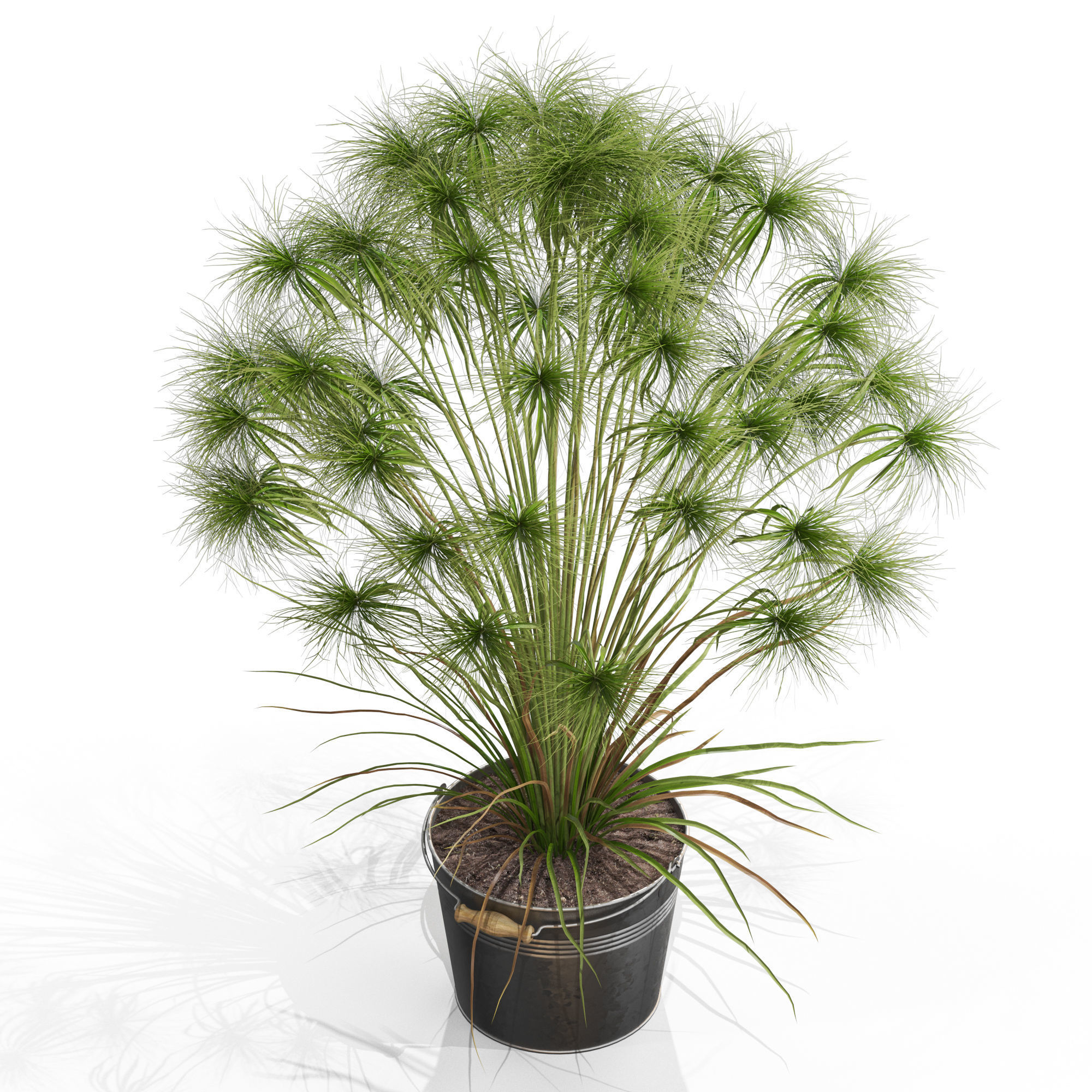 Plants collection 727 3D model_2