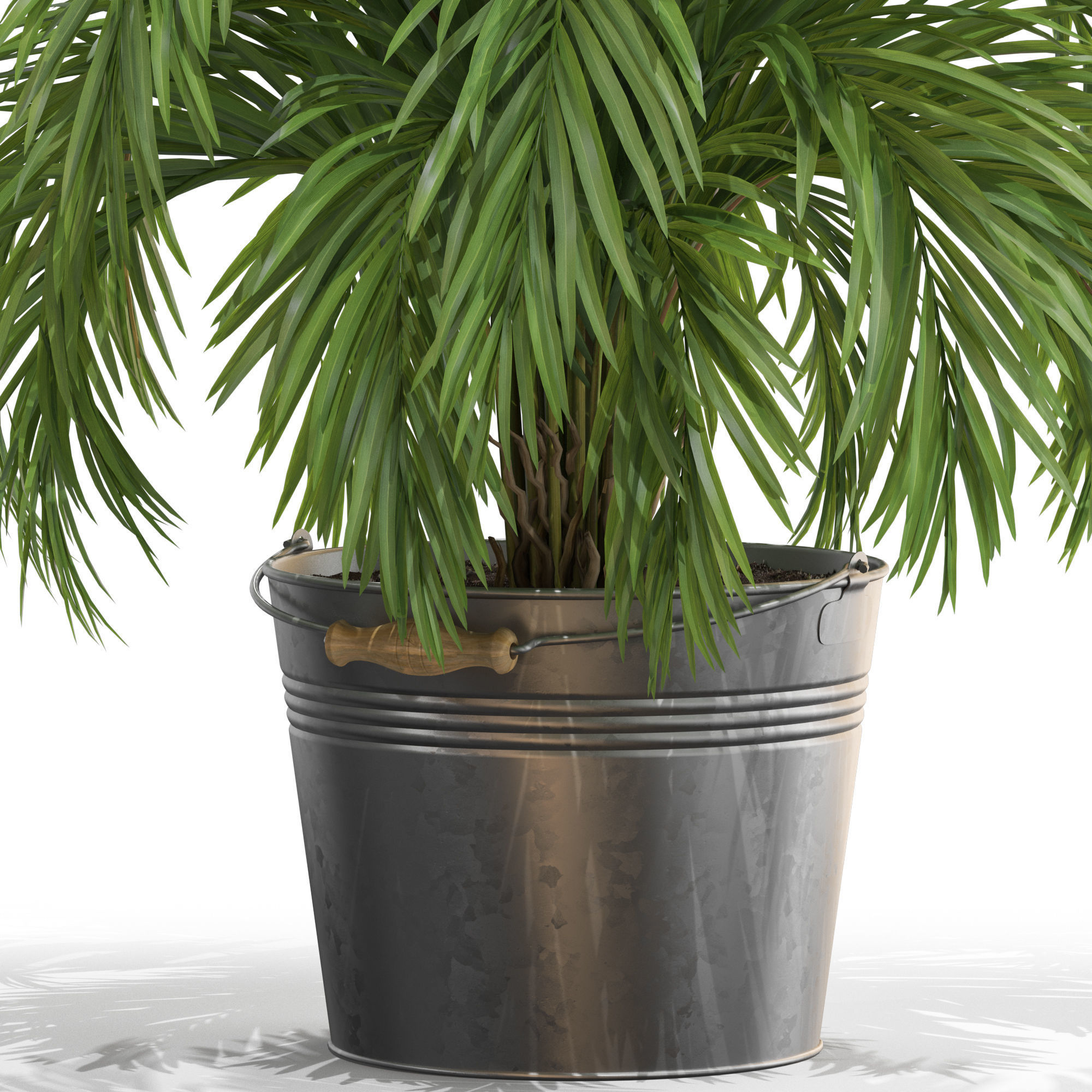 Plants collection 728 3D model_1