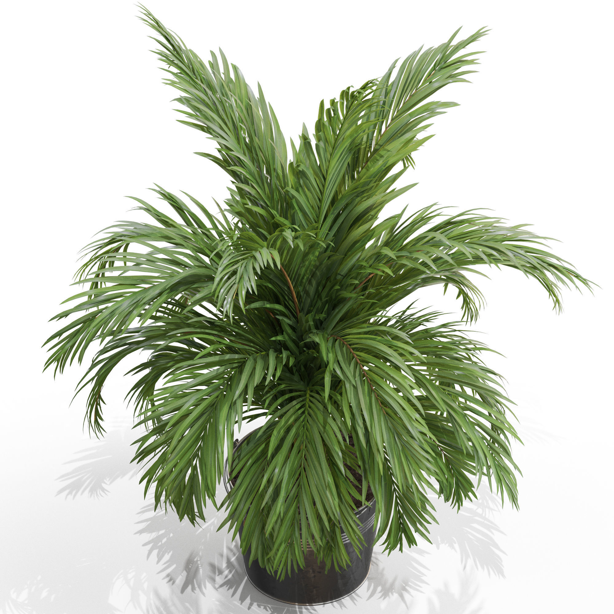 Plants collection 728 3D model_2