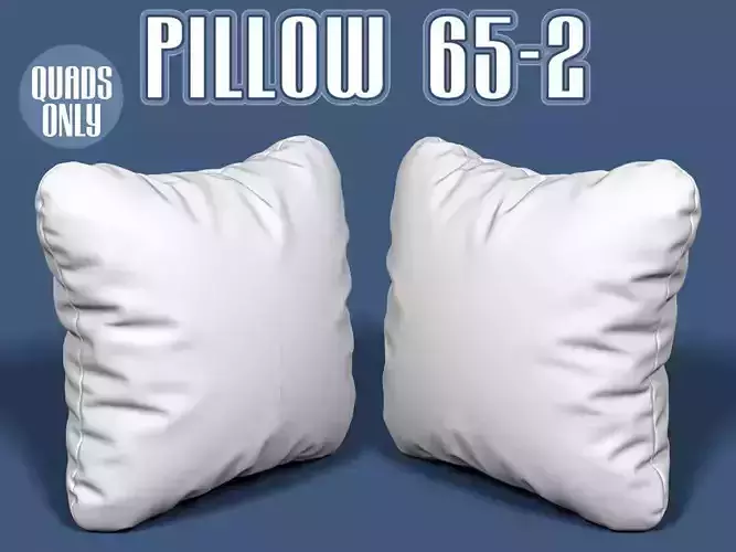 Pillow 65-2