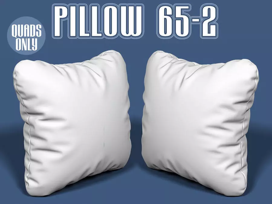 Pillow 65-2 3D model_0