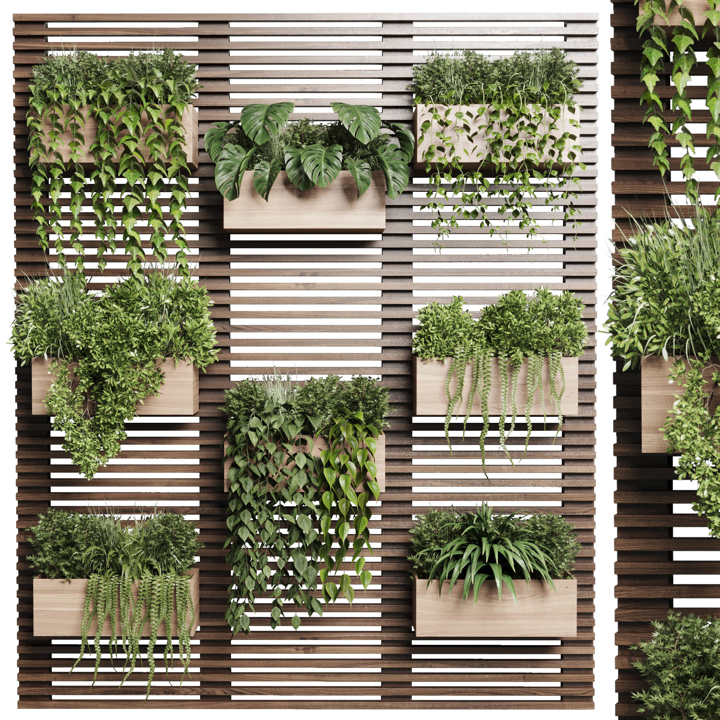 plants set partition in wooden frame Vertical graden 3D model_2