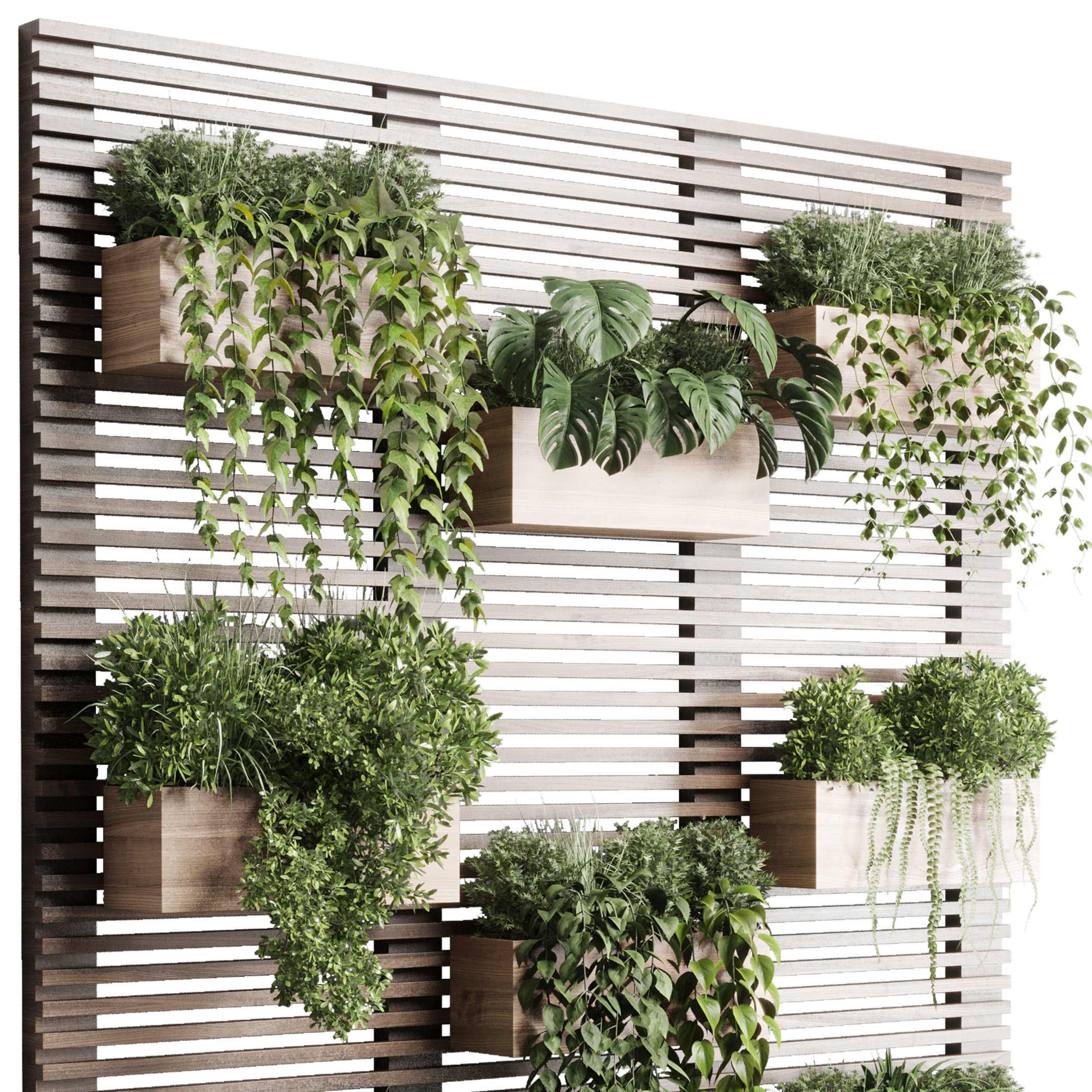 plants set partition in wooden frame Vertical graden 3D model_3