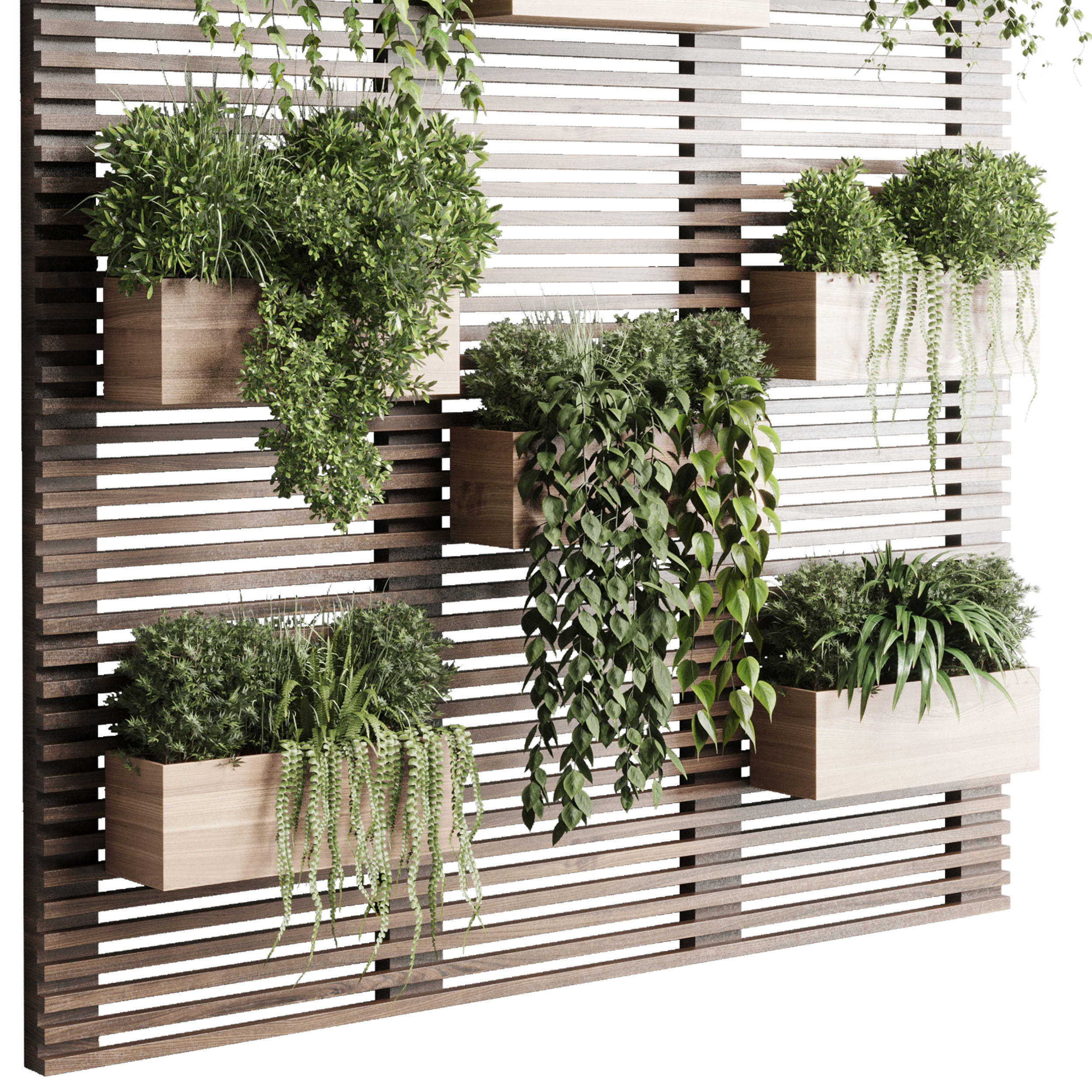 plants set partition in wooden frame Vertical graden 3D model_4