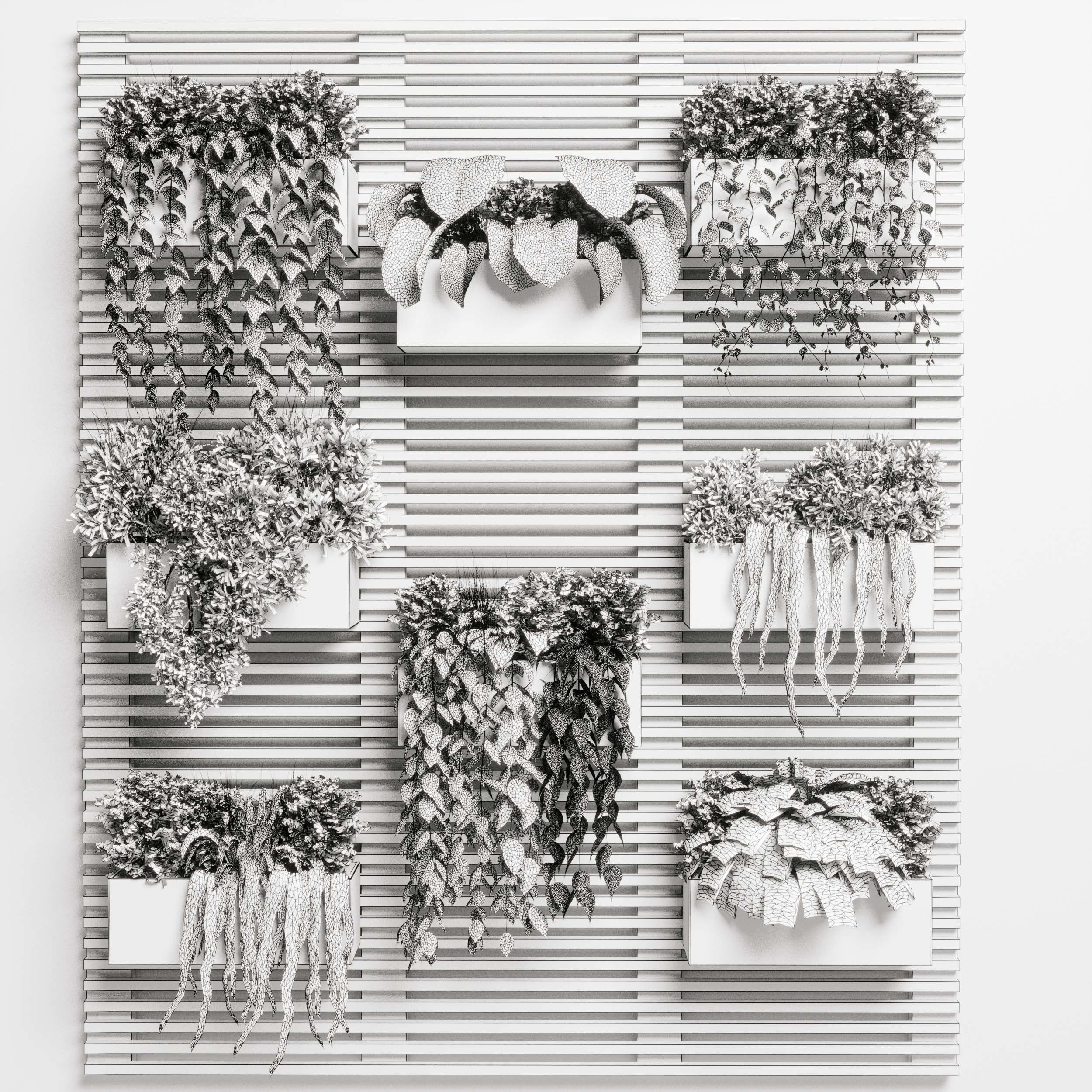 plants set partition in wooden frame Vertical graden 3D model_5