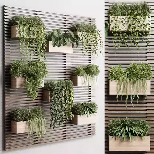 plants set partition in wooden frame Vertical graden