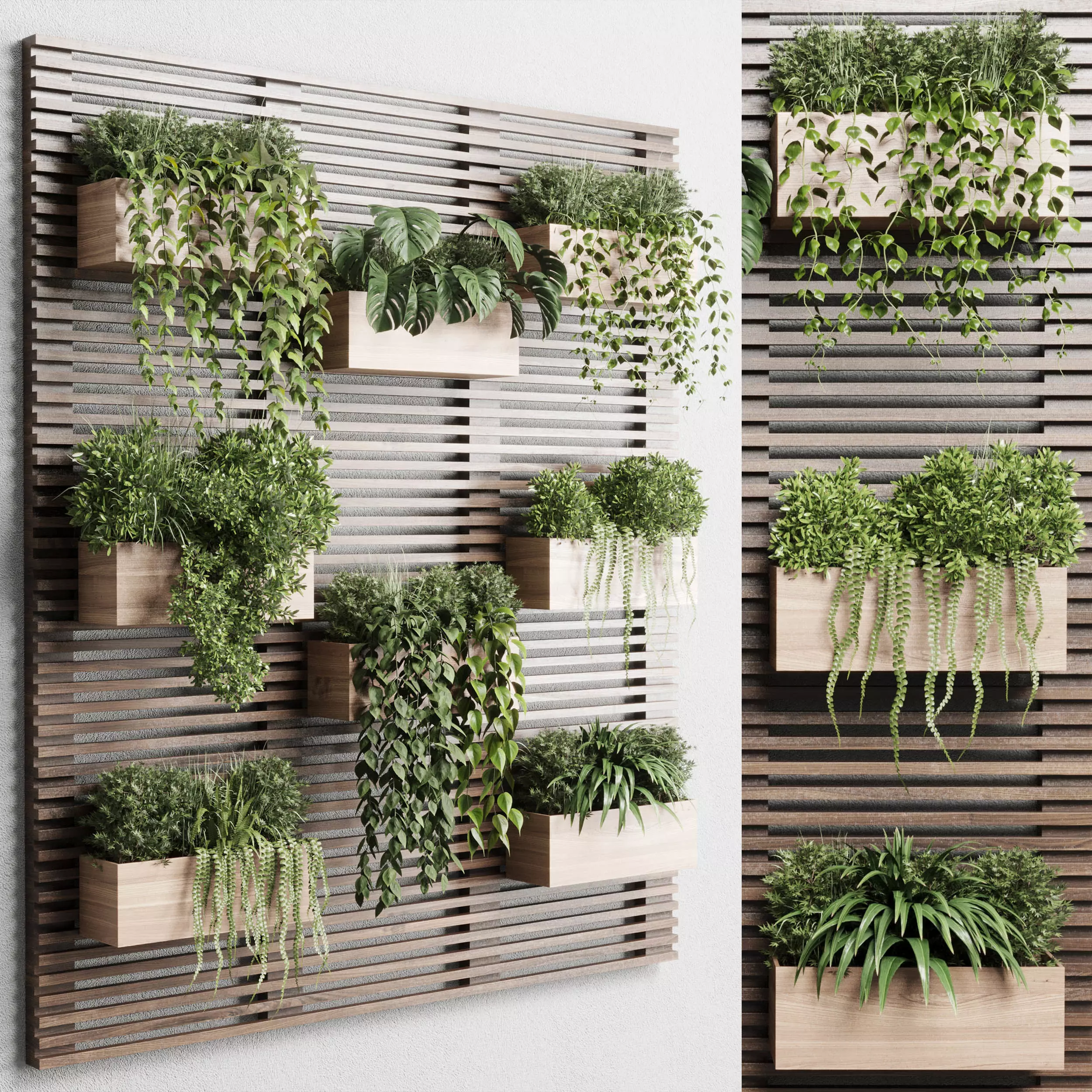 plants set partition in wooden frame Vertical graden 3D model_0