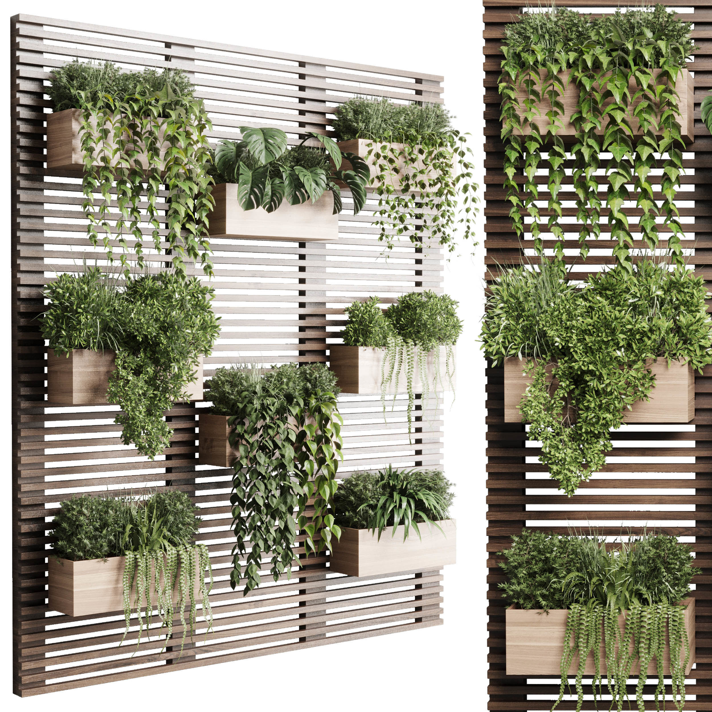 plants set partition in wooden frame Vertical graden 3D model_1