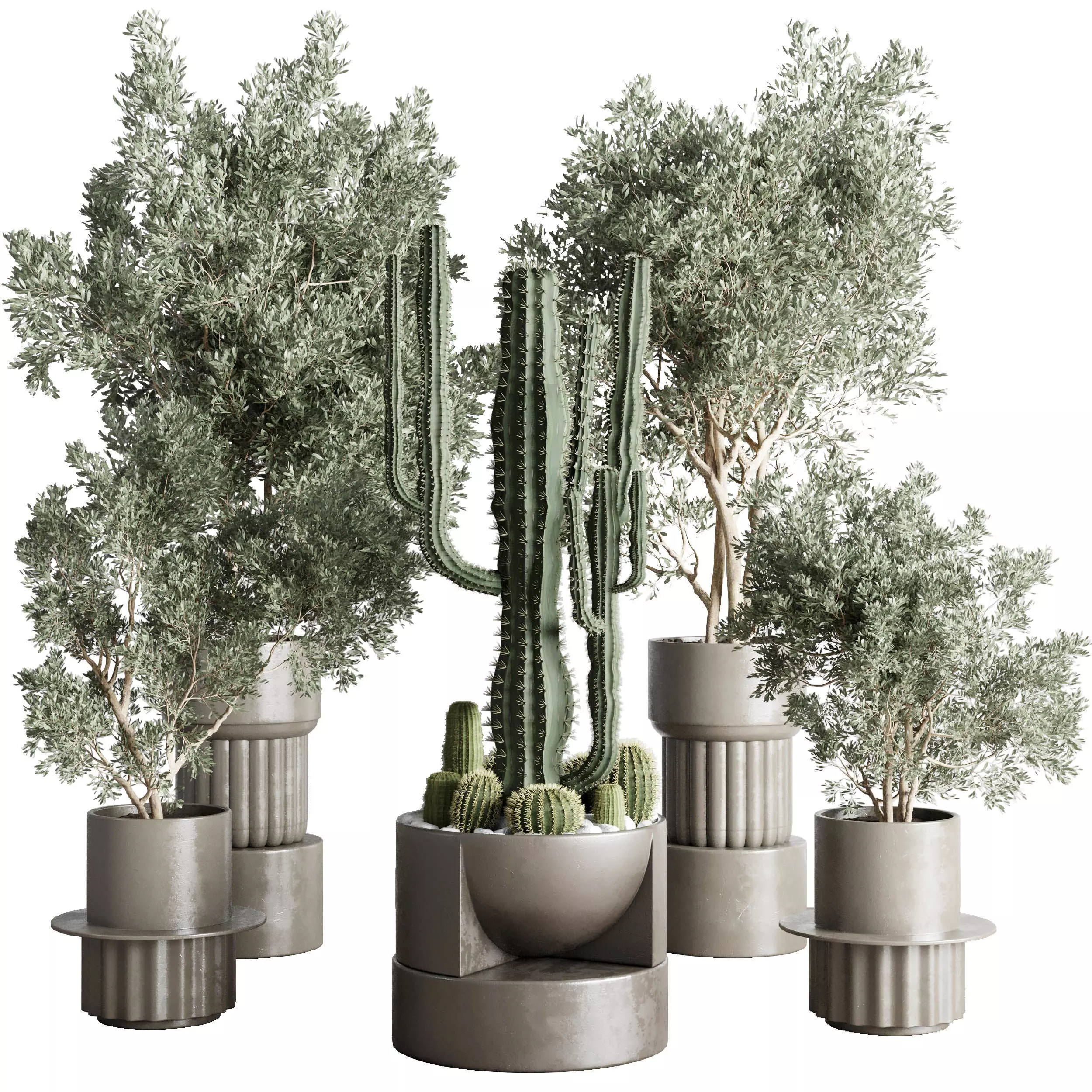 collection indoor plant and cactus 237 concrete dirt vase 3D model