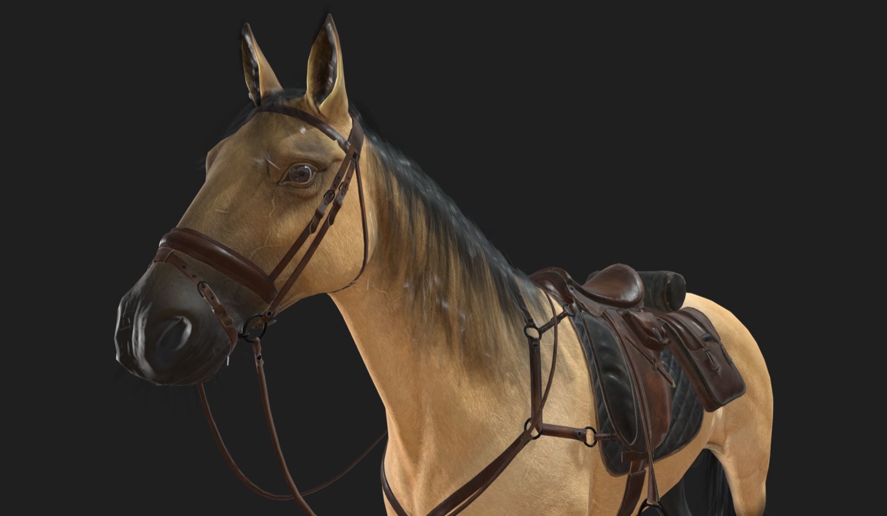 Caballo Horse Low-poly 3D model_1