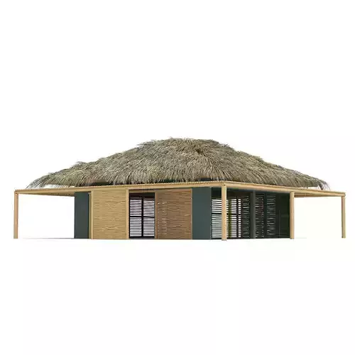 Tropical wooden thatched roof bungalow