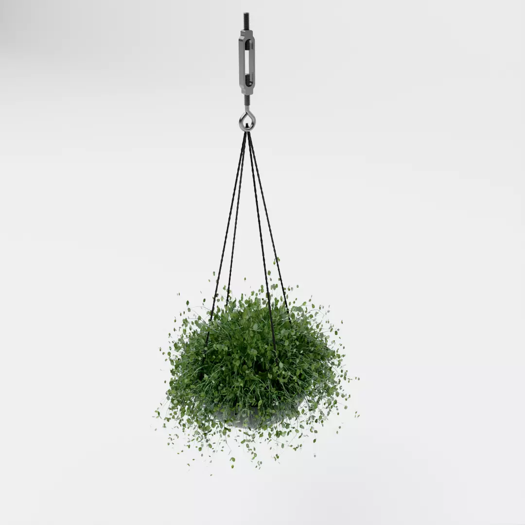 Hanging plants Free 3D model