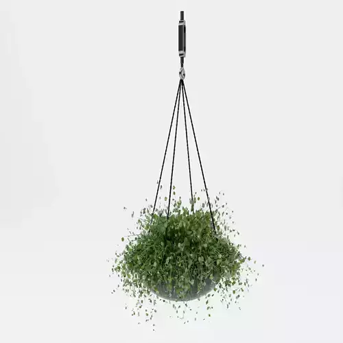Hanging plants Free 3D model