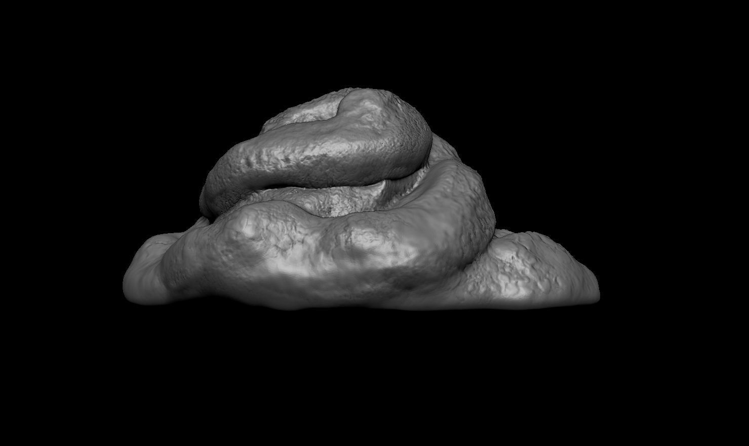 3D PRINTABLE POOP - A PRANK FOR THE PEOPLE YOU LOVE 3D print model_7