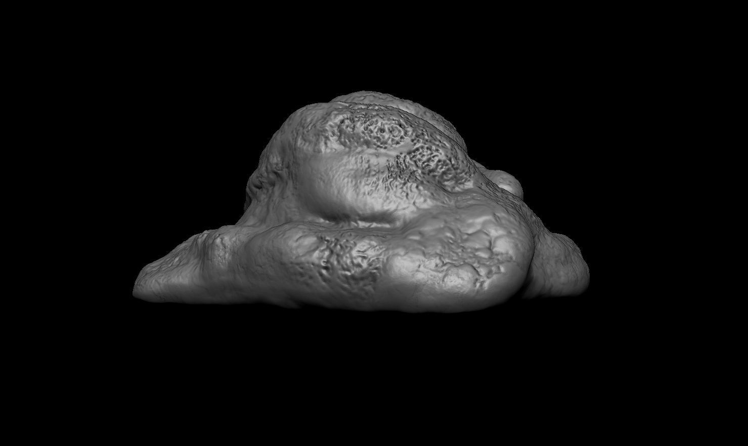 3D PRINTABLE POOP - A PRANK FOR THE PEOPLE YOU LOVE 3D print model_5