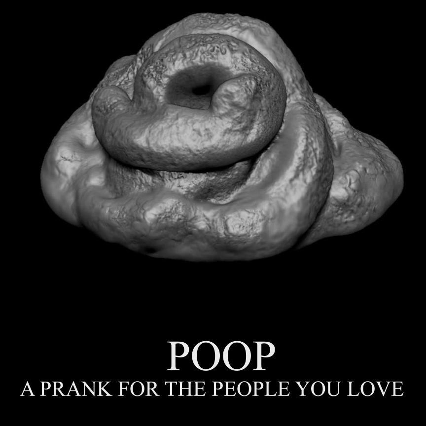3D PRINTABLE POOP - A PRANK FOR THE PEOPLE YOU LOVE 3D print model_2