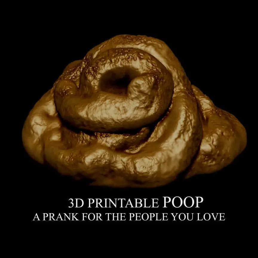 3D PRINTABLE POOP - A PRANK FOR THE PEOPLE YOU LOVE 3D print model_0