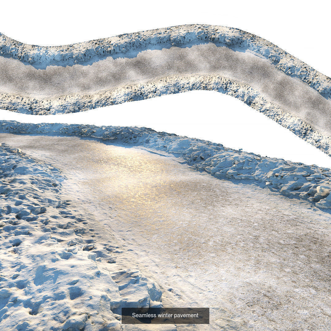 Realistic scanned winter areas and roads 3D Model Collection_29