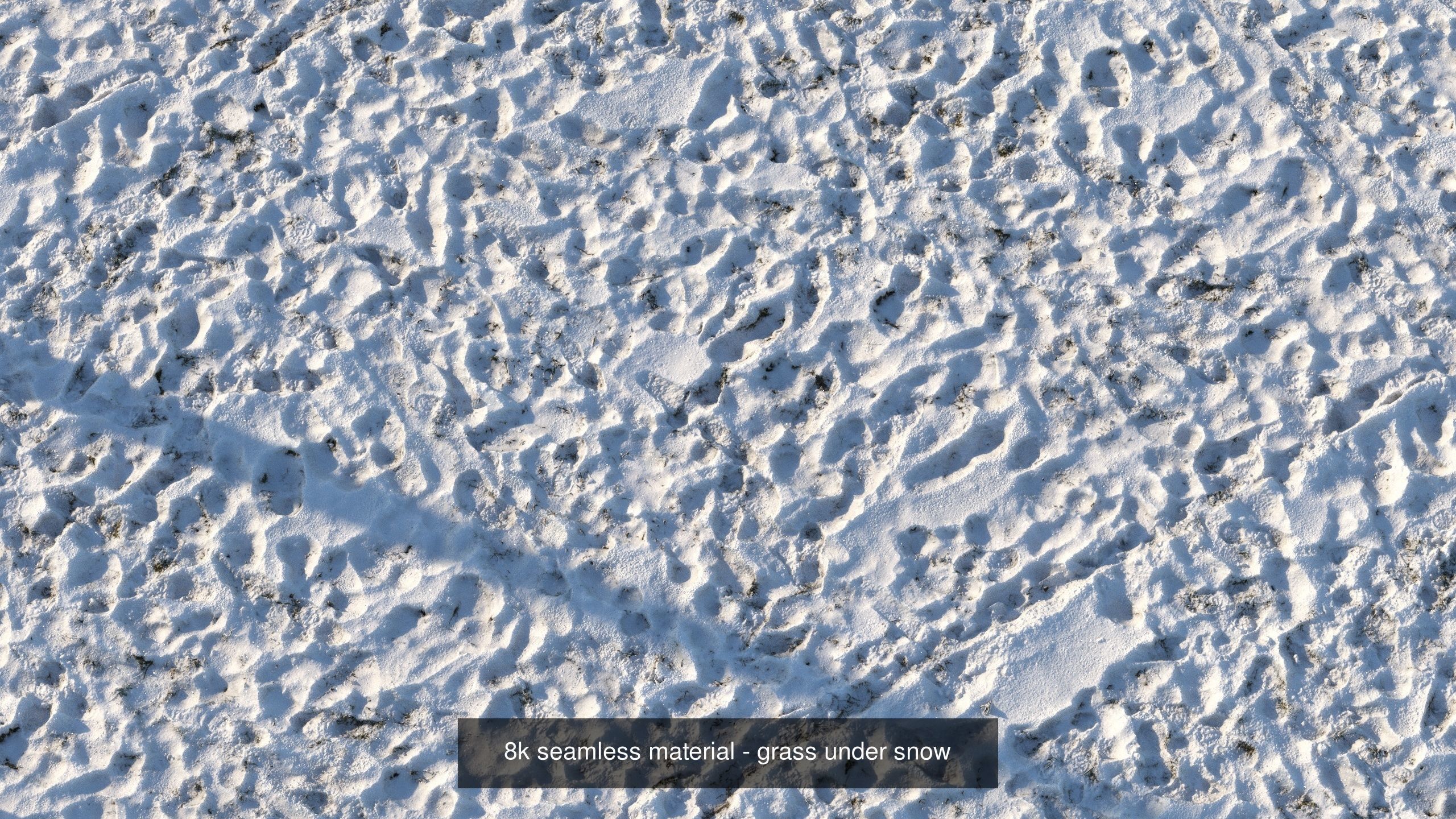 Realistic scanned winter areas and roads 3D Model Collection_31