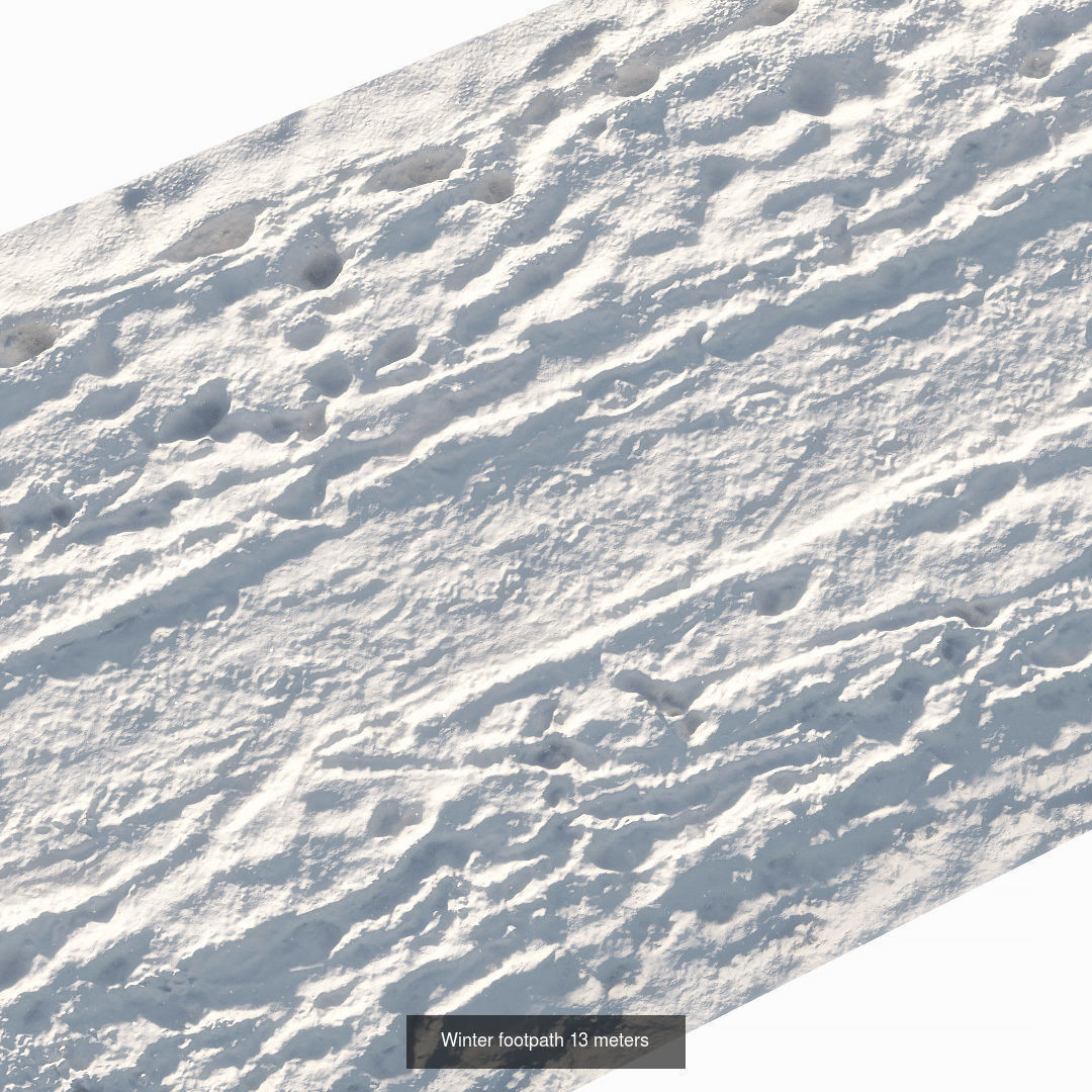 Realistic scanned winter areas and roads 3D Model Collection_28