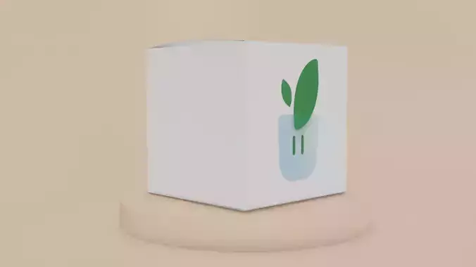 Paper boxes mockup