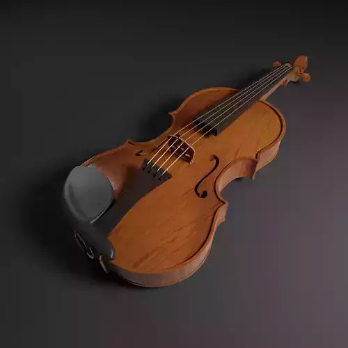 Violin 3D