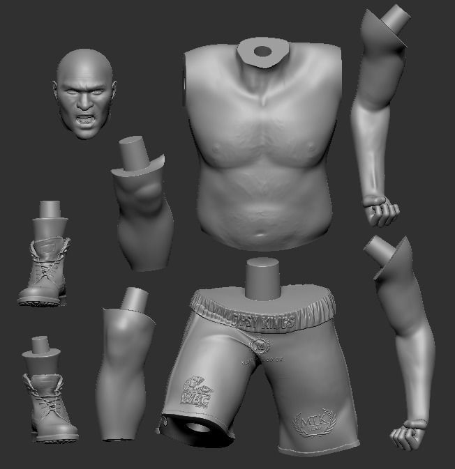 Tyson Fury 3D Printable 1 3D print model_2