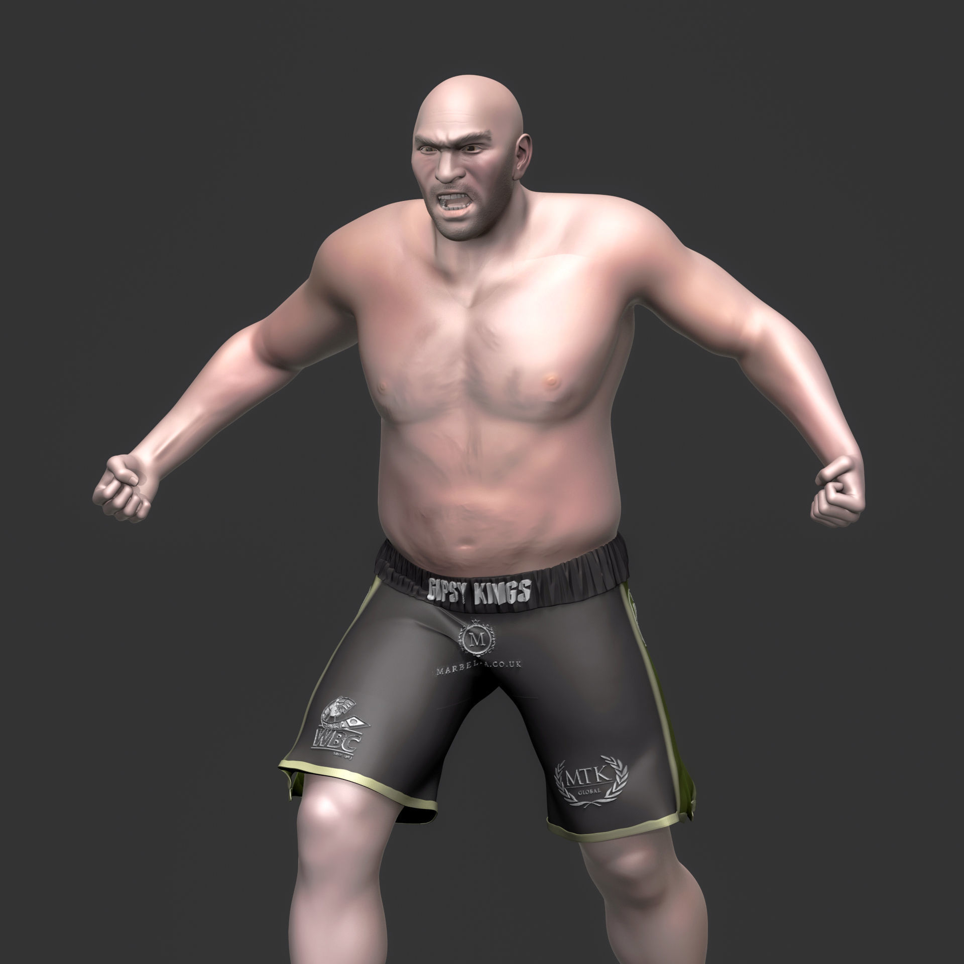 Tyson Fury 3D Printable 1 3D print model_11