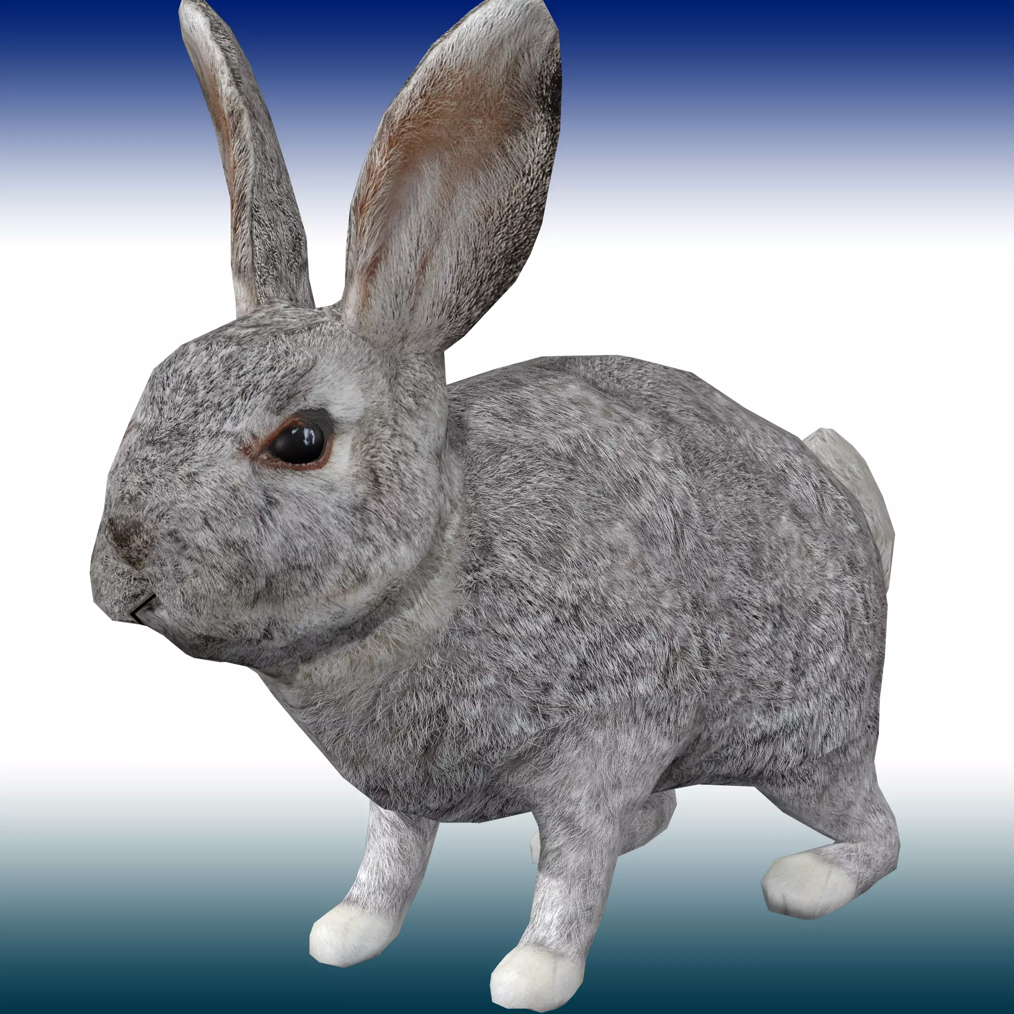 Rabbit Low-poly 3D model