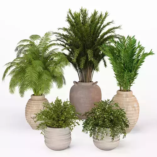 Indoor Plants set 05