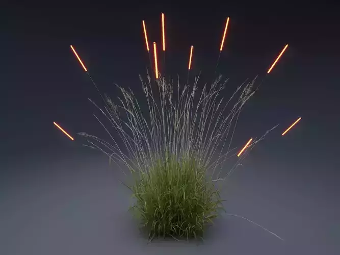 straw light 
