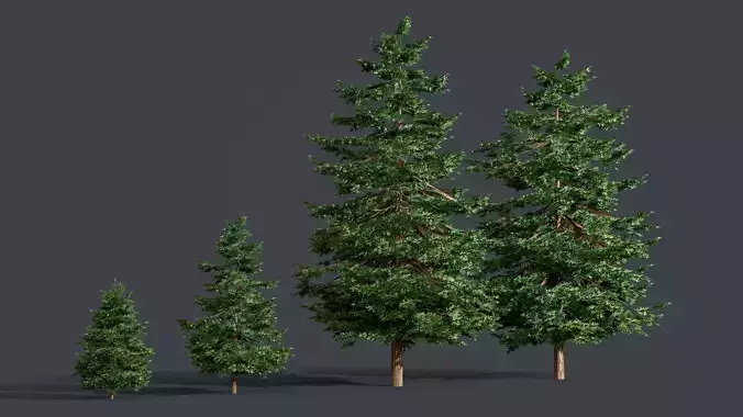 Fir Tree Bundle with LODs - summer and winter