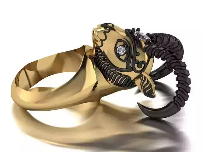 ram ring 3D print model