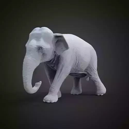 Asian elephant 3D print model