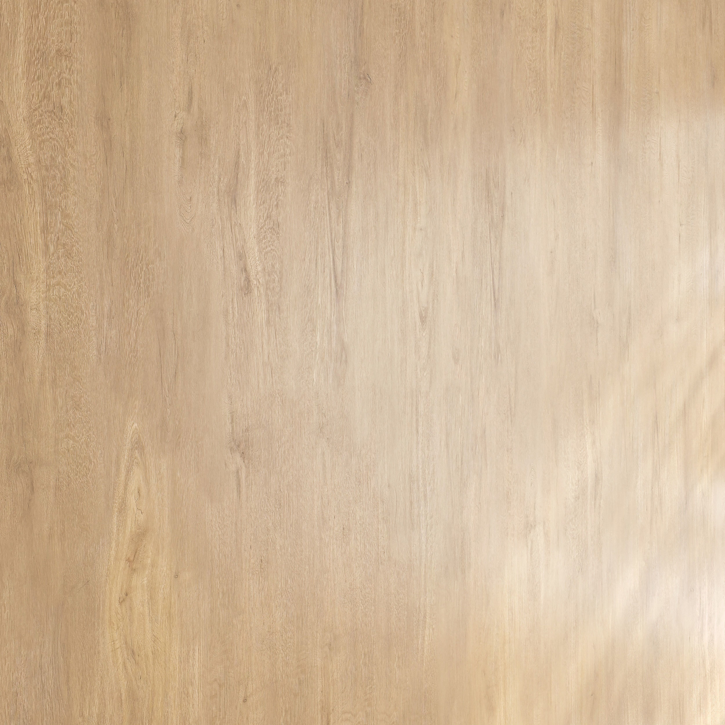 Wood material v04 Texture_1