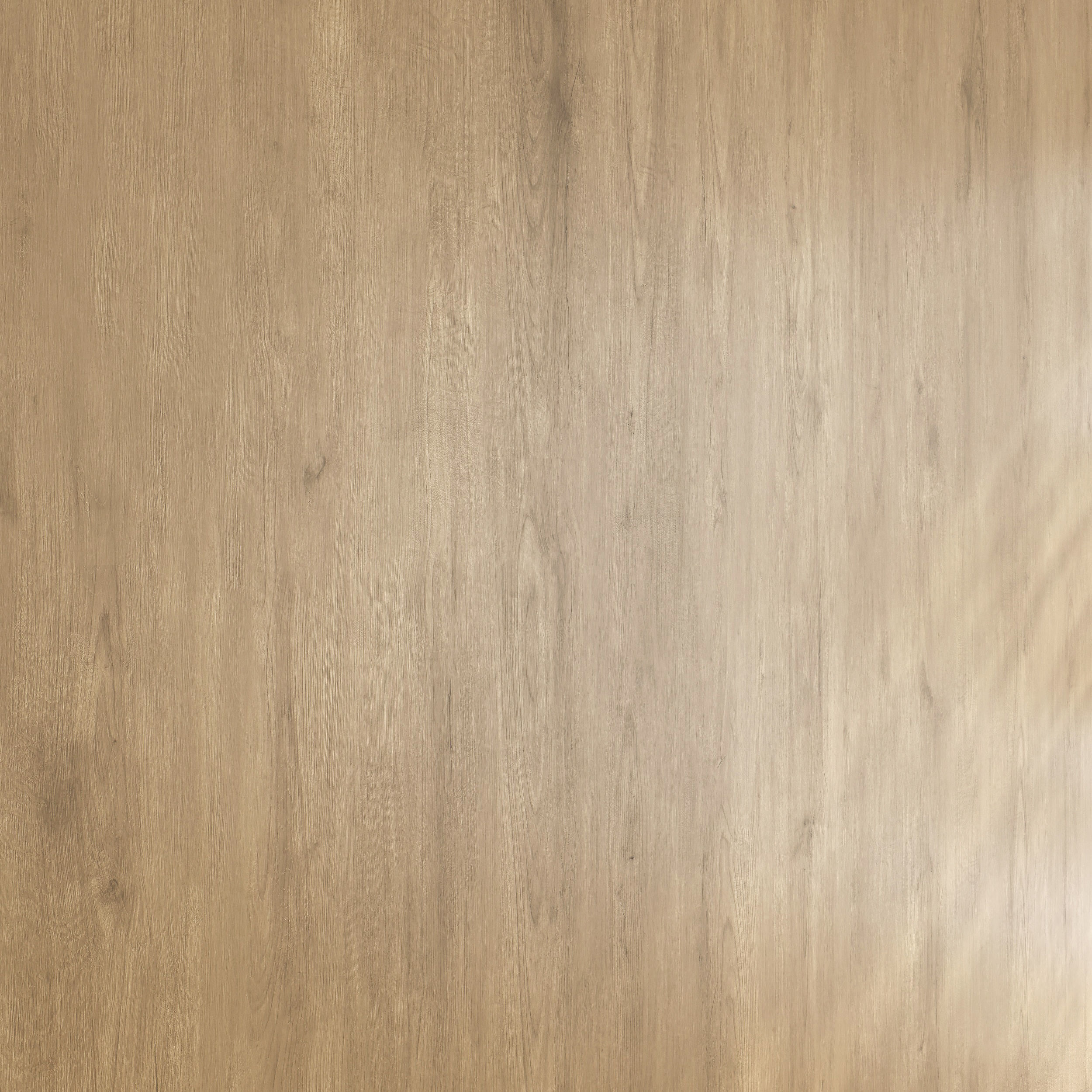 Wood material v09 Texture_1