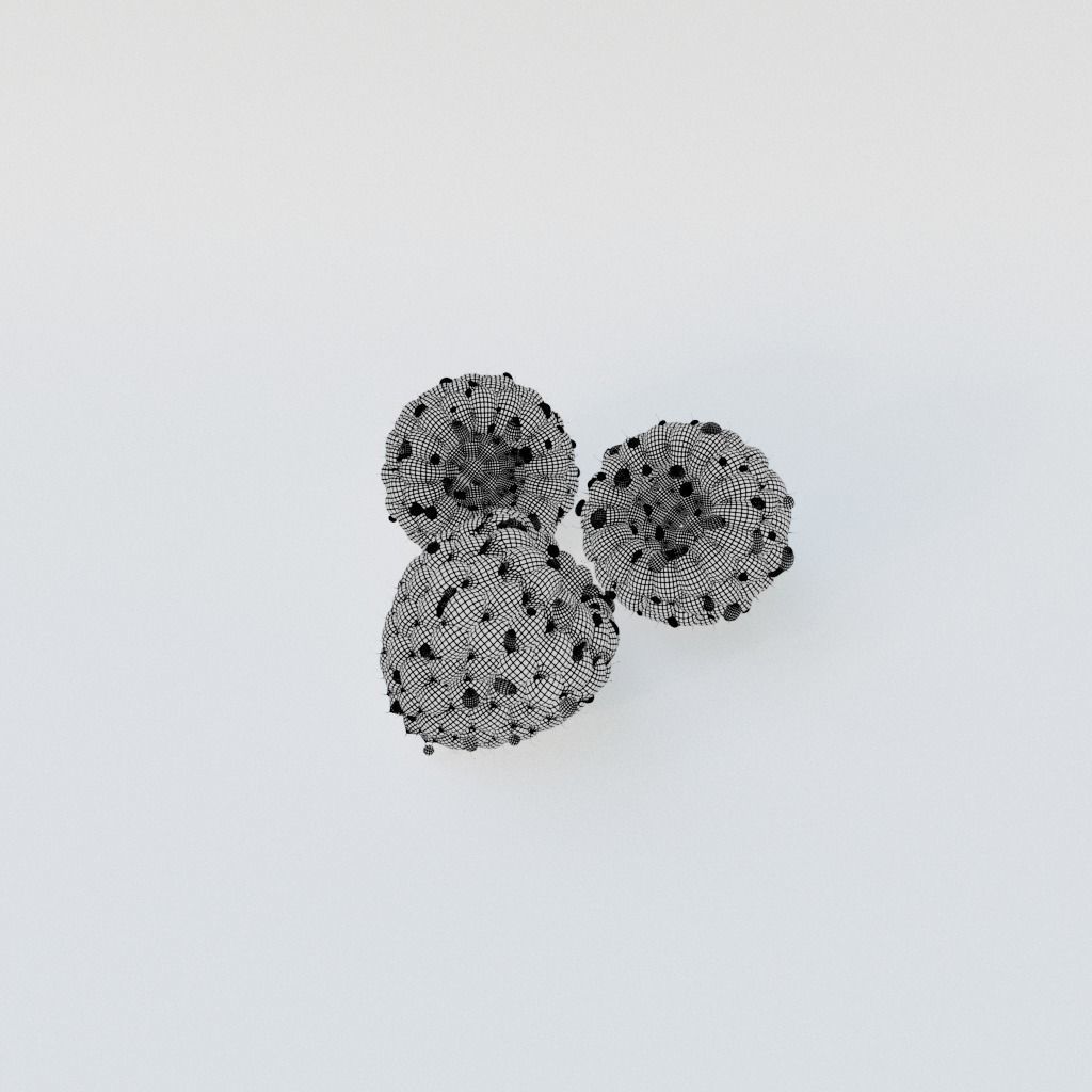 Raspberry three raspberries 3D model_8