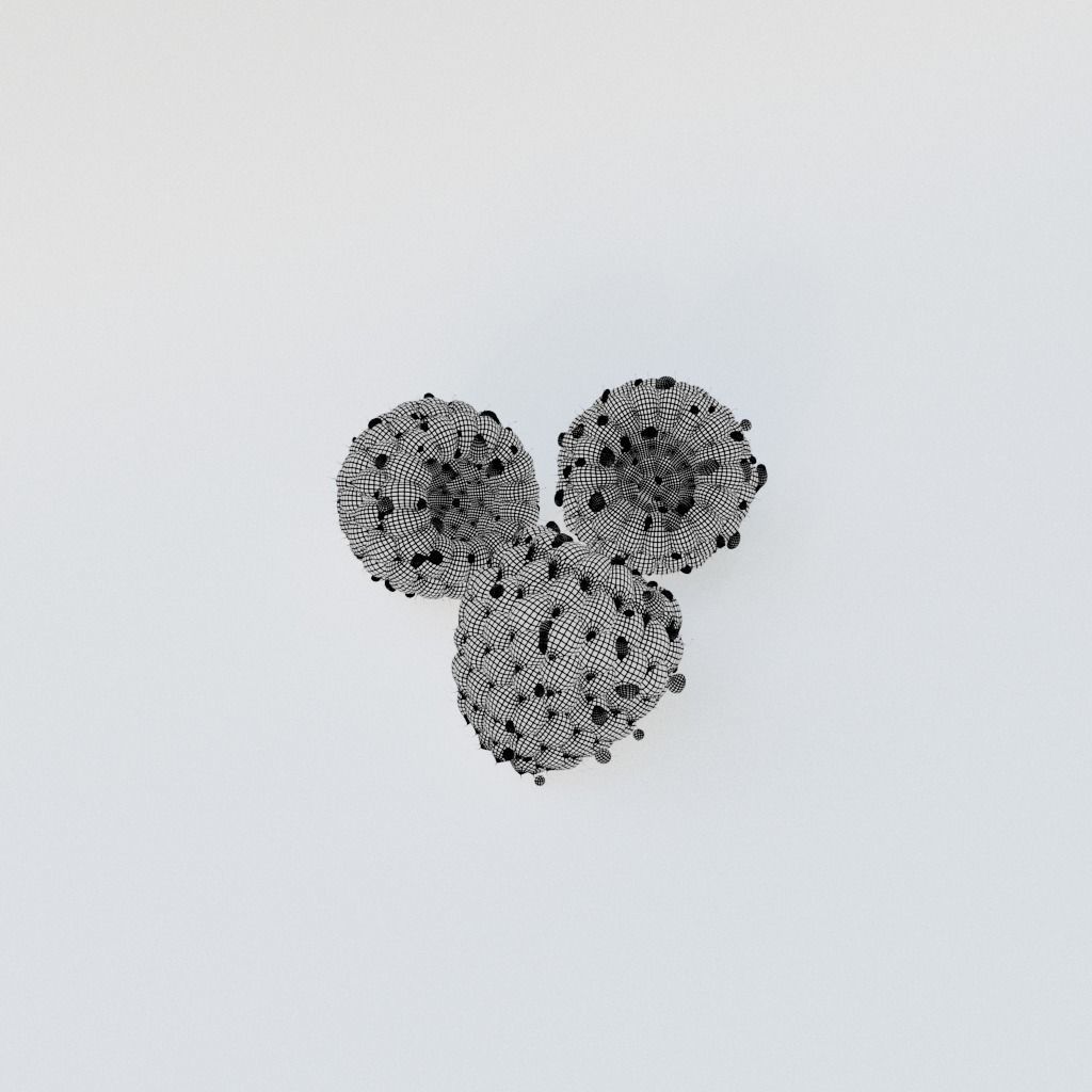 Raspberry three raspberries 3D model_9