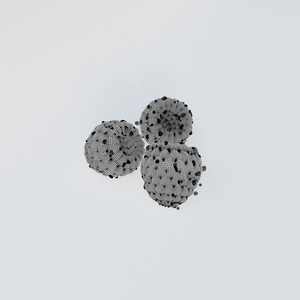 Raspberry three raspberries 3D model_10