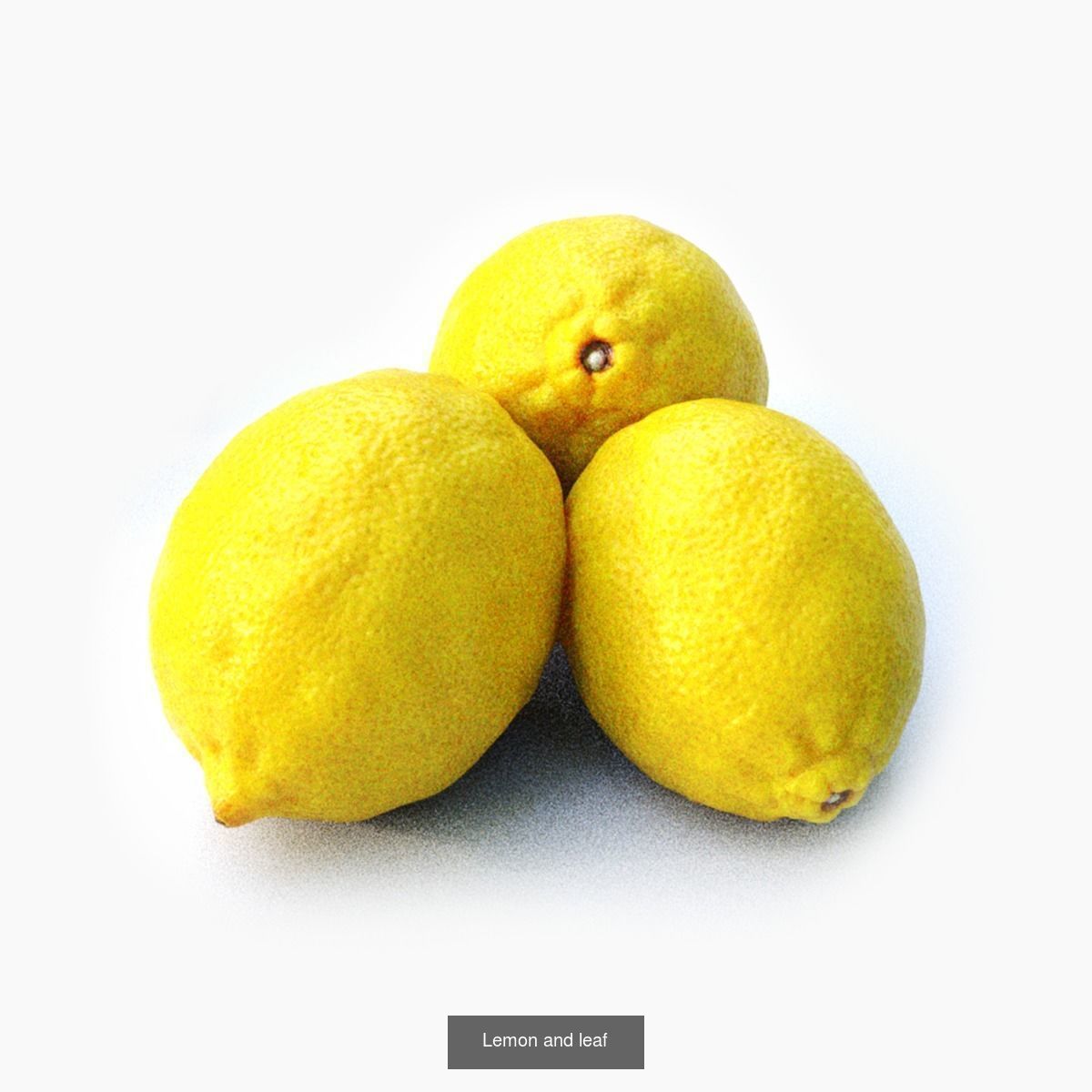 Tropical fruit product 3D Model Collection_2