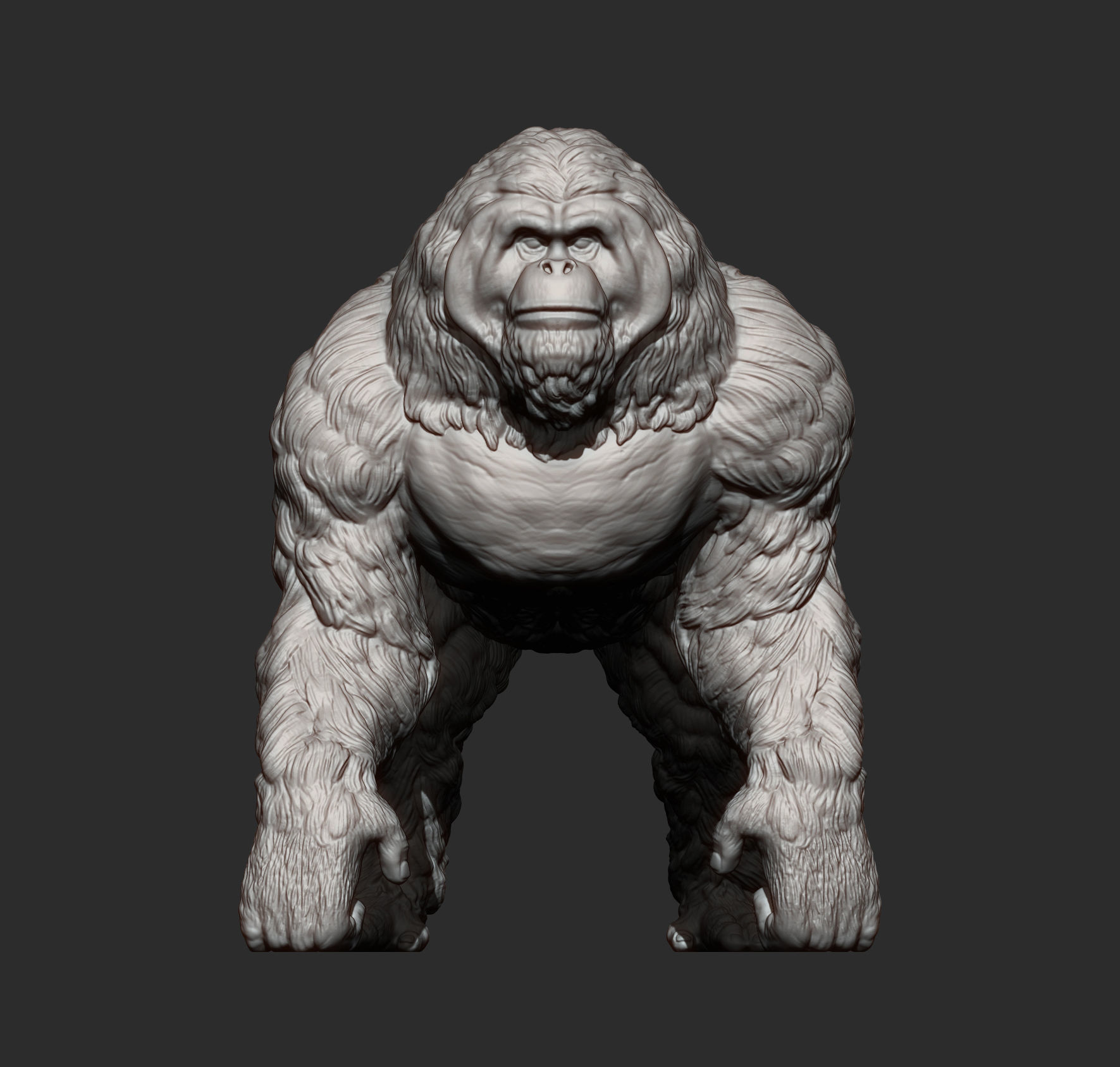 Orangutan 3D print model_14