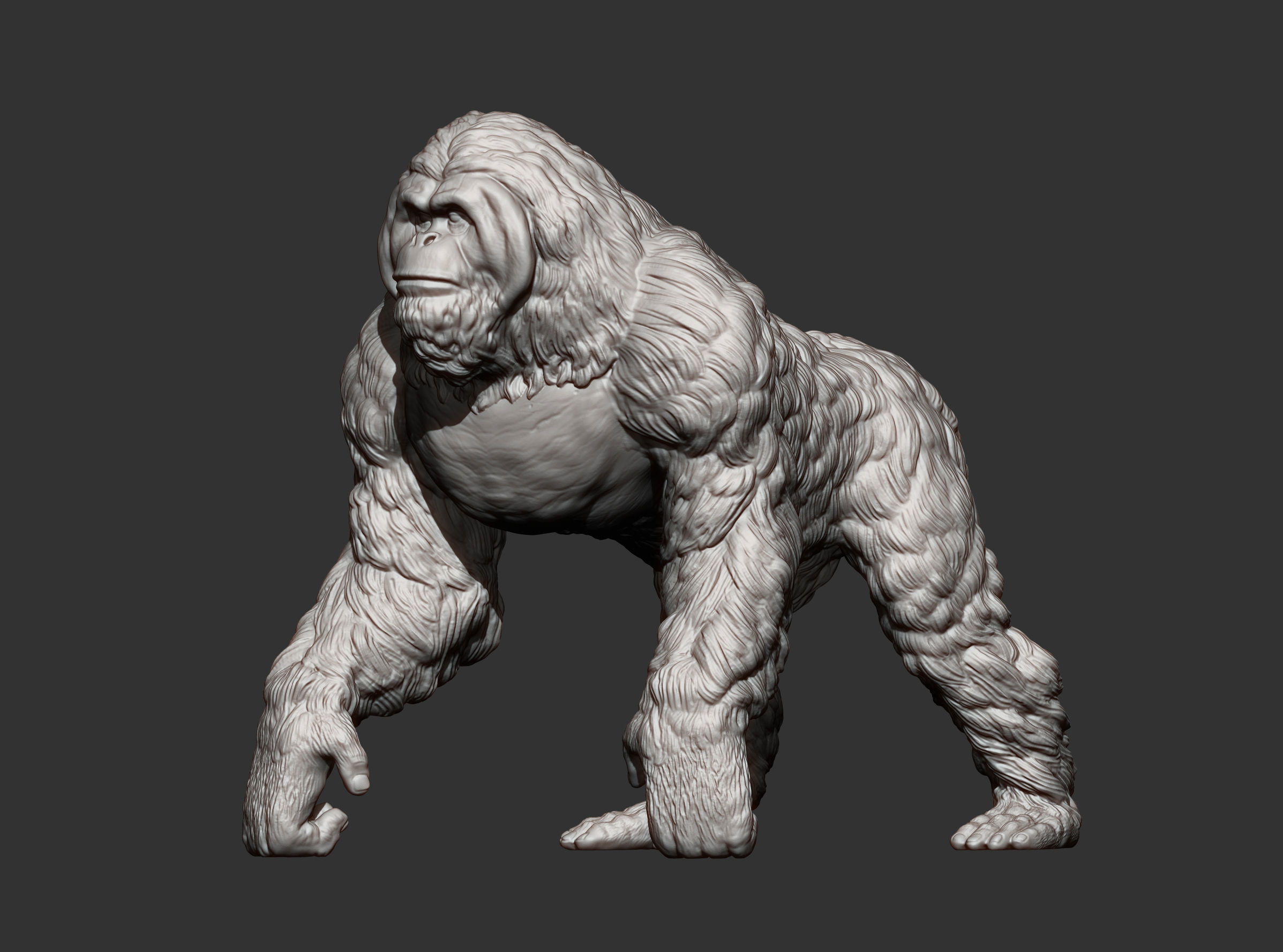 Orangutan 3D print model_11