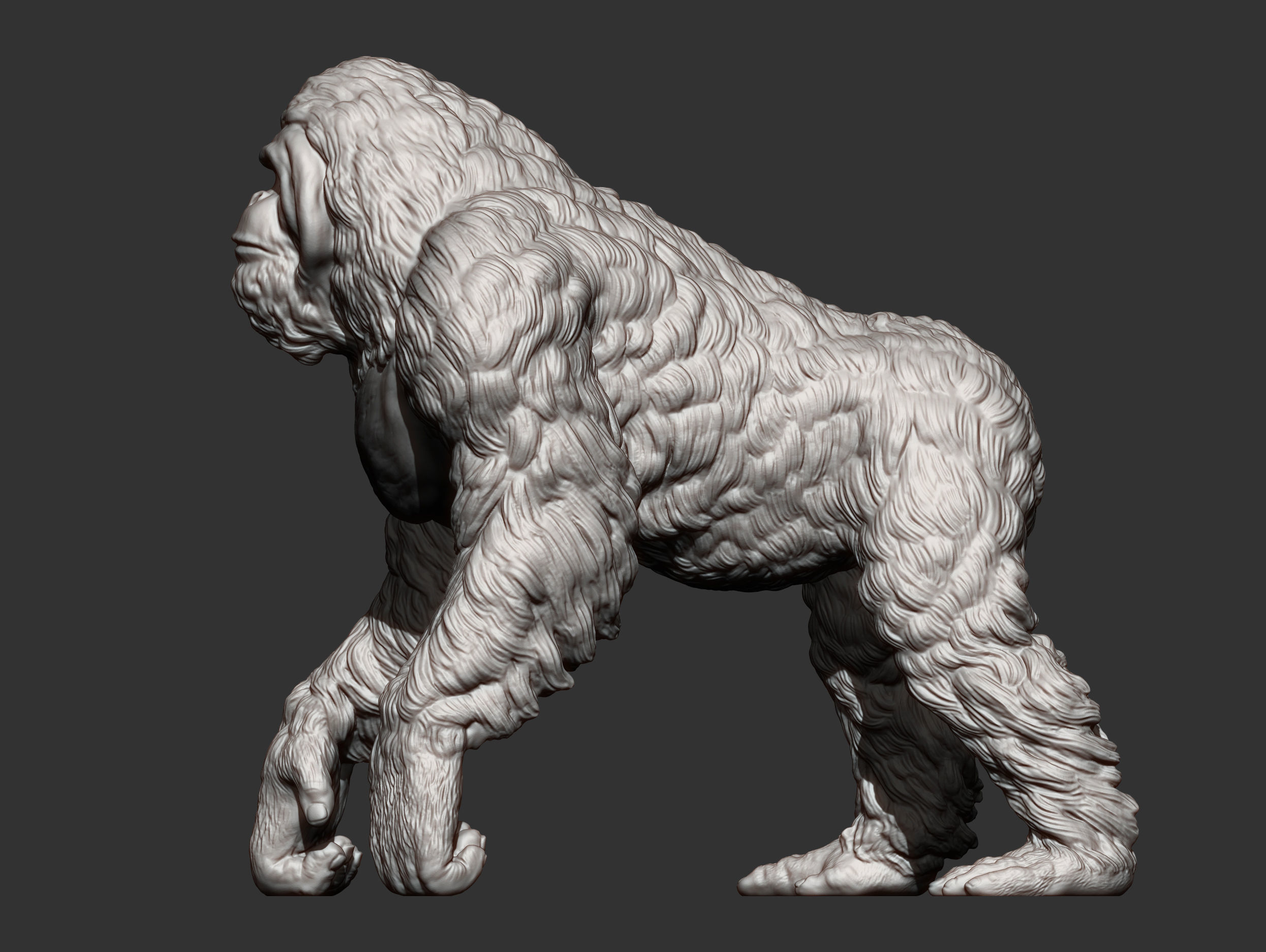Orangutan 3D print model_13