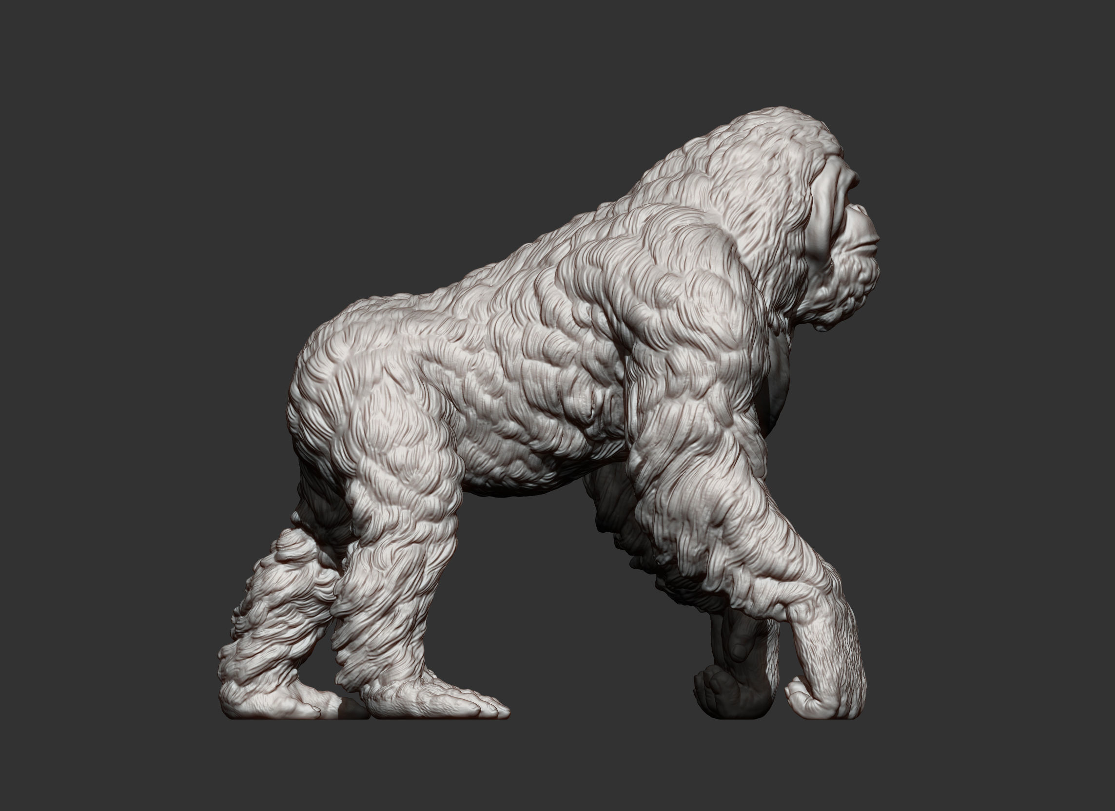 Orangutan 3D print model_10