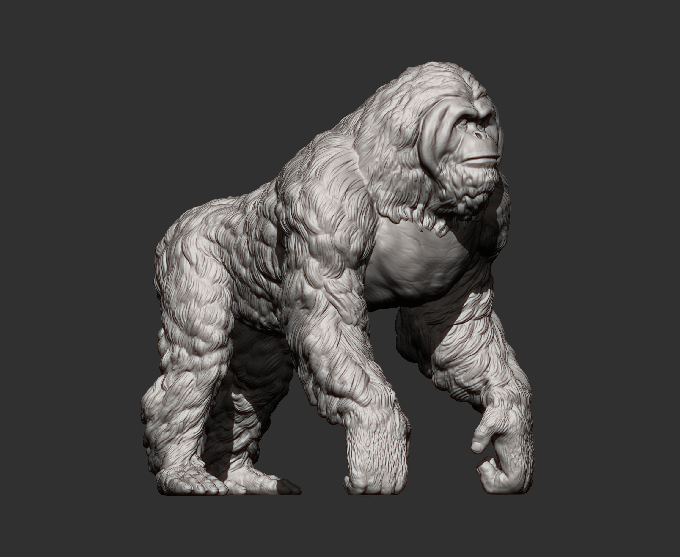 Orangutan 3D print model_9