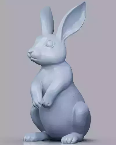 Rabbit bunny 3D print model